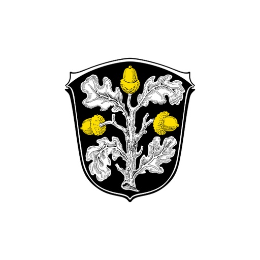 [11689] RSM Groß-Gerau Landkreis / Kelsterbach